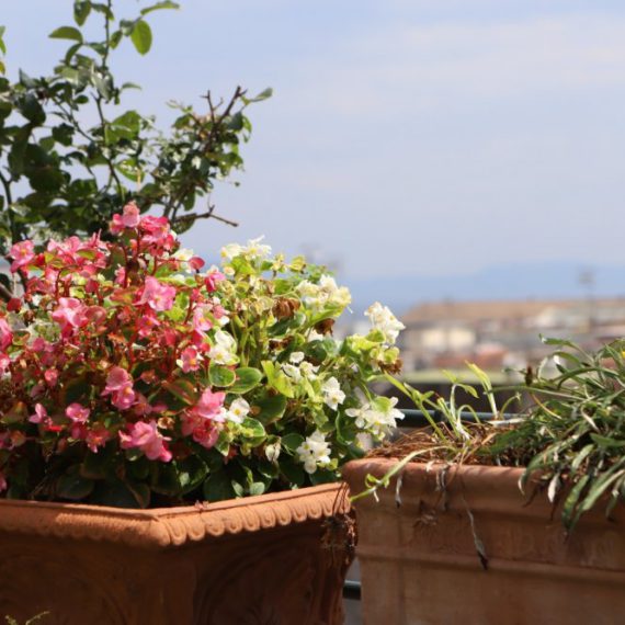 Property Featured Image